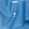 SUMMER COIN SOLID BLUE